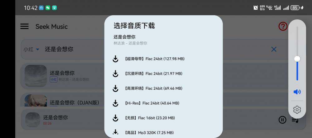 百兆母带音乐下载(图3)